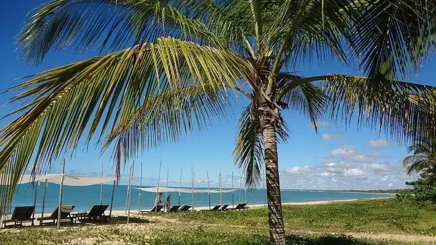 Roteiro Completo de 7 Dias em Porto Seguro e Região